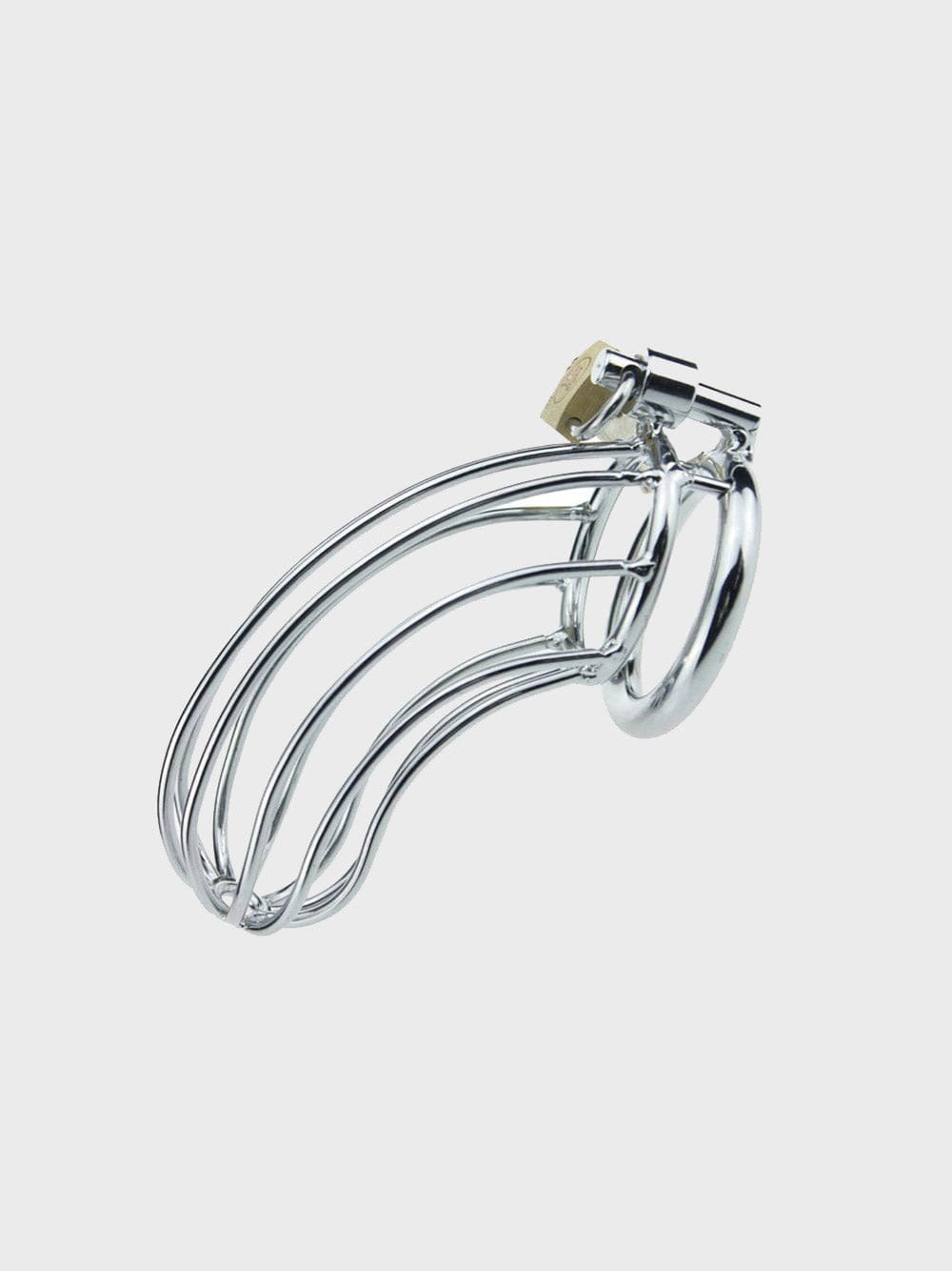 Bird-Cage-Steel-Chastity.jpg Bird-Cage-Steel-Chastity.jpg