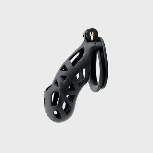 Cage de chasteté plastique noire très grande