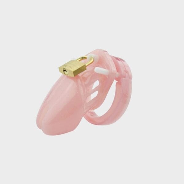 Cage de chasteté plastique rose classique