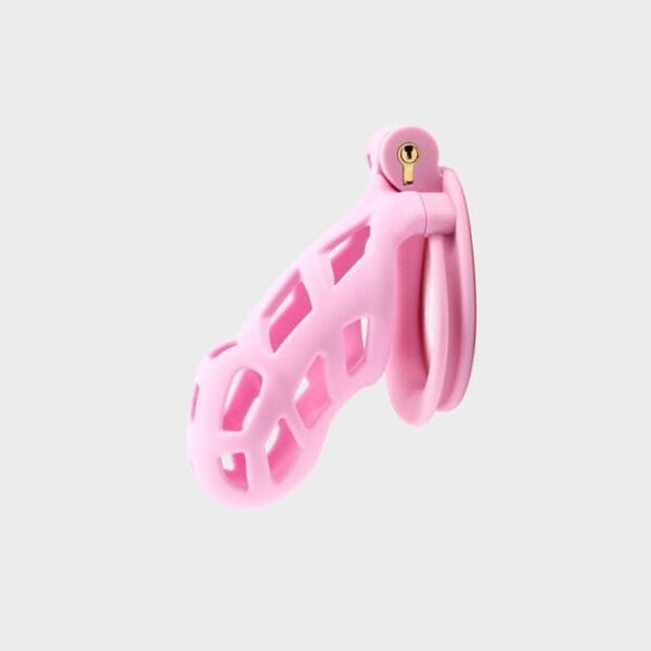 Cage de chasteté résine rose classique