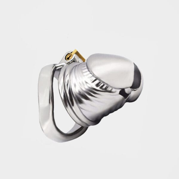 Cage de chasteté métal Le Pénis d'Acier