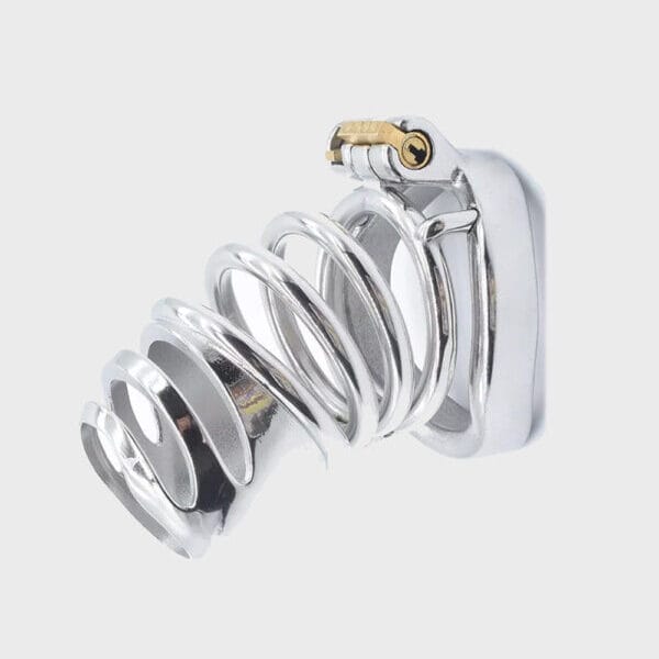 Cage de chasteté métal La Cerclée