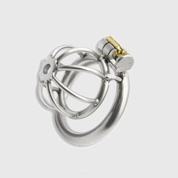 Total-lock-down-chastity-cage.jpg Cage de chastéte courte en métal