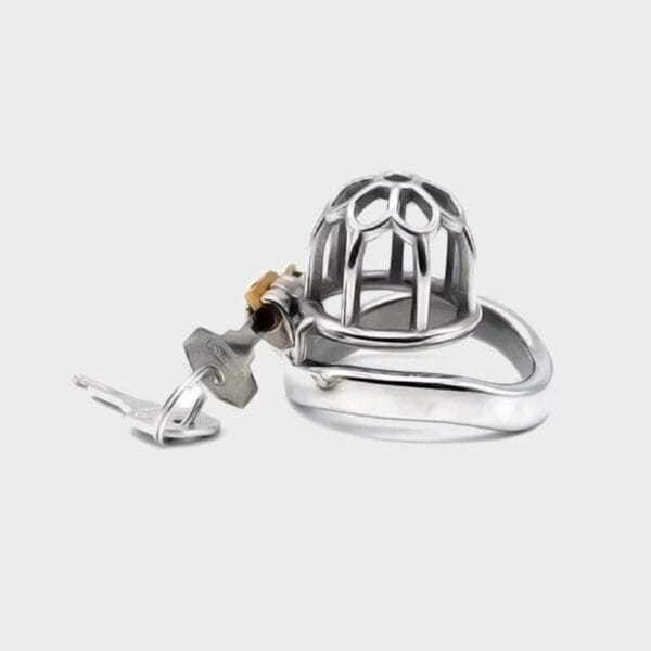 Cage de chasteté métal MC14000