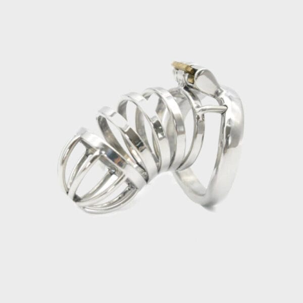 Cage de chastéte longue en métal MC2000