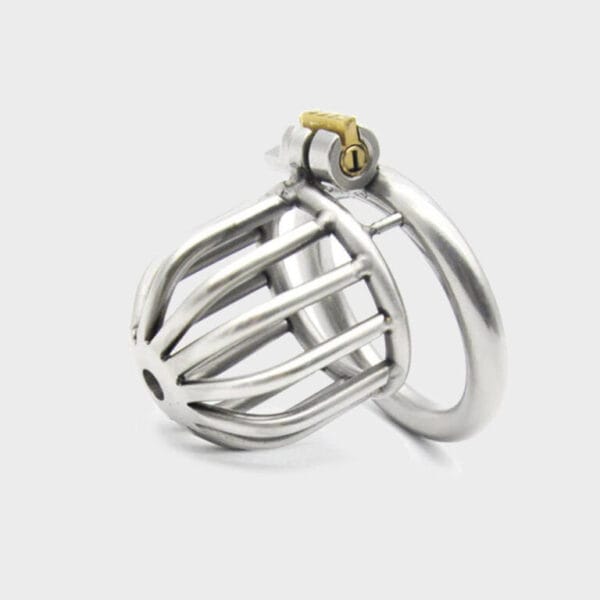 locked-shame-chastity.jpg Cage de chasteté métal MC6000