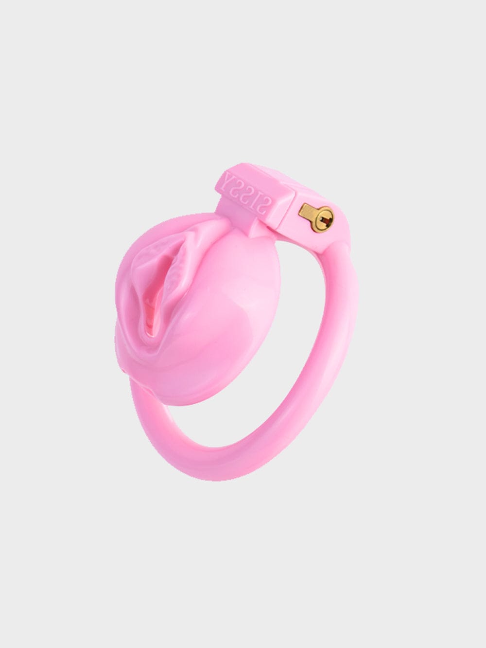 pinkpussychastitycage.jpg