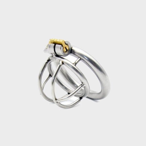 short-bars-tiny-chastity-cage.jpg Cage de chastéte métal La Classique Très Courte