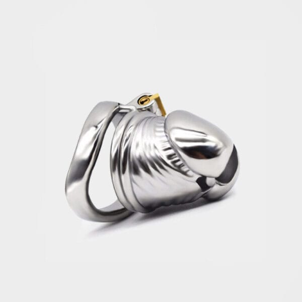 Cage de chasteté métal Le Pénis d'Acier