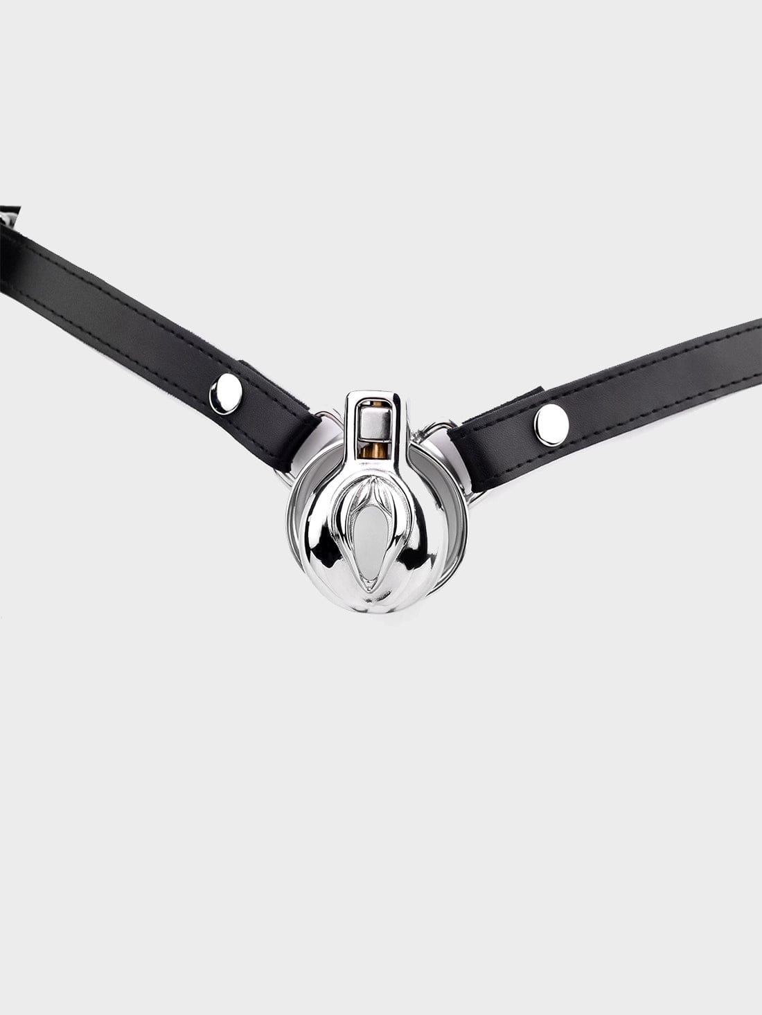 steelpussychastitybelt.jpg steelpussychastitybelt.jpg