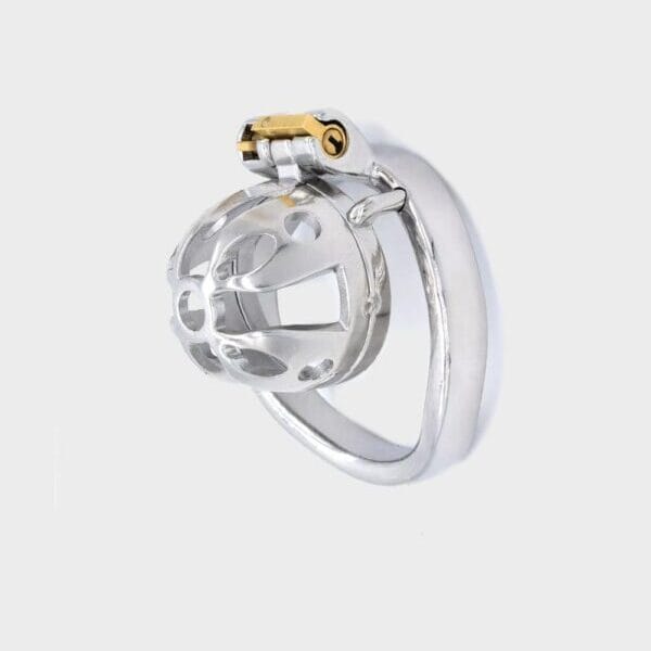 Cage de chasteté métal MC15000