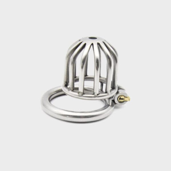 Cage de chasteté métal MC6000