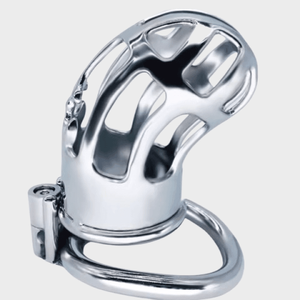 Cage de chasteté métal Prince Albert