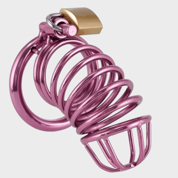 Cage de chasteté métal La Violette