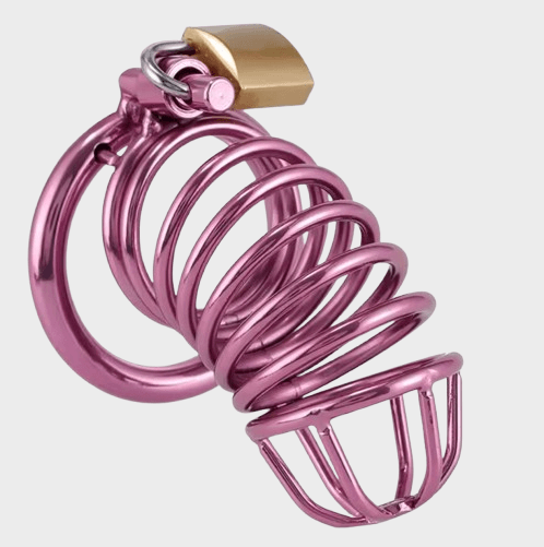 cage-chastete-metal-violette Cage de chasteté métal La Violette
