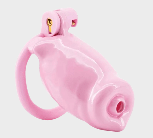 cage-chastete-plastique-membre-rose Cage de chasteté plastique Le Membre Rose
