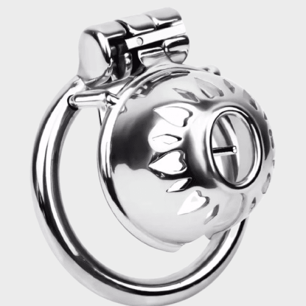 Cage de chasteté métal L'Amoureux