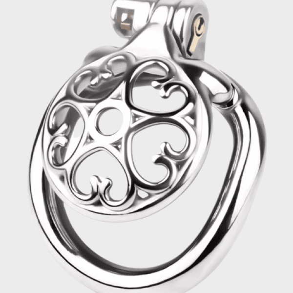 Cage de chasteté métal Le Coeur d'Acier