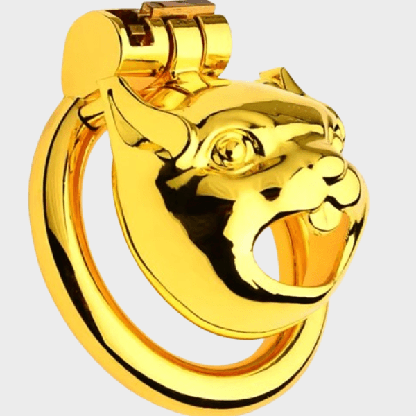 Cage de chasteté métal Le Félin d'Or