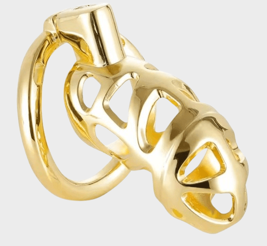 cage-chastete-metal-golden Cage de chasteté métal La Golden