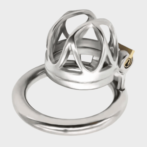 Cage de chasteté métal Sceau