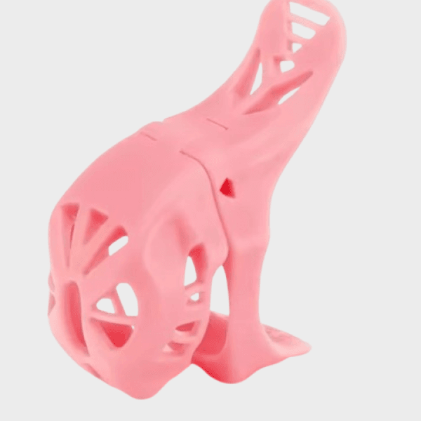 Cage de chasteté plastique Le Vaisseau Rose