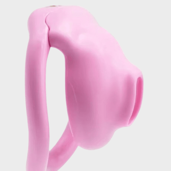Cage de chasteté La Vulve Rose