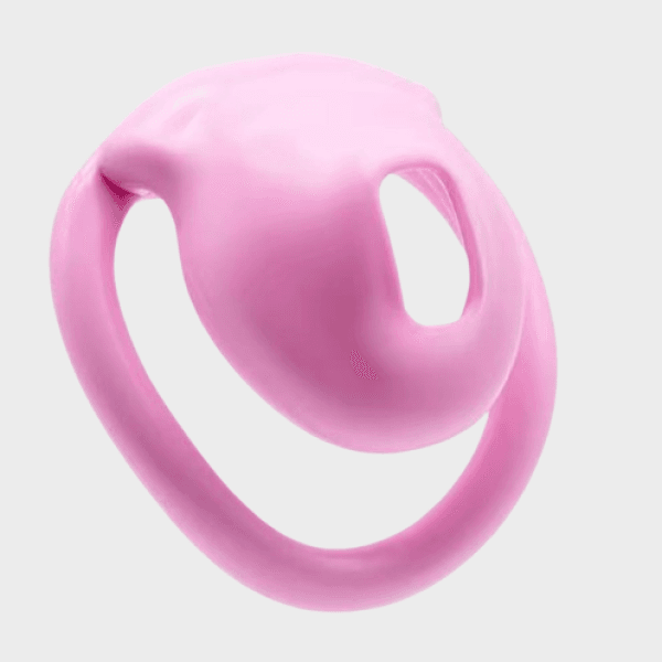 Cage de chasteté La Vulve Rose