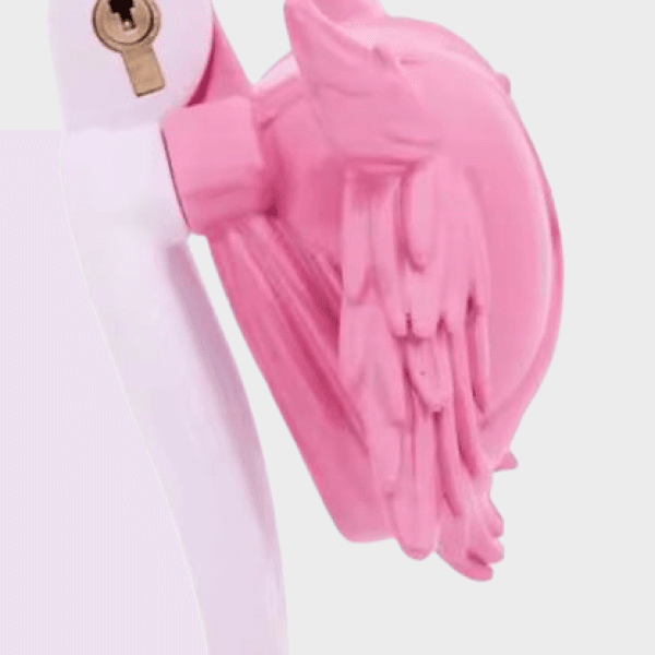 Cage de chasteté plastique Le Bouclier Ailé