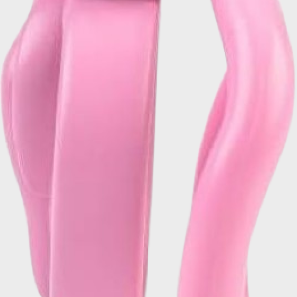 Cage de chasteté plastique La Vulve Rose