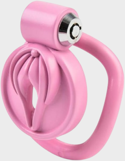 cage-chastete-plastique-vulve-rose Cage de chasteté plastique La Vulve Rose