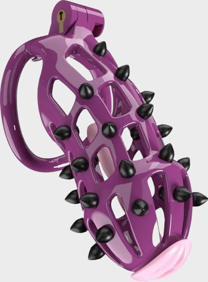 Cage de chasteté plastique La Violette Carnivore