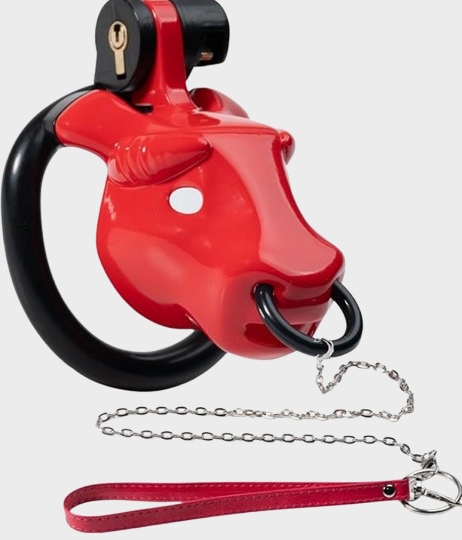 Cage de chasteté plastique Le Taureau – Image 2
