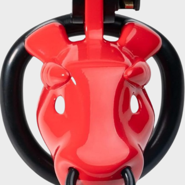 Cage de chasteté plastique Le Taureau